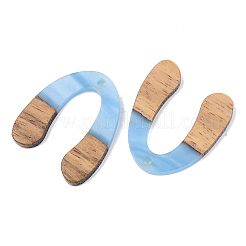Opaque Resin & Walnut Wood Pendants&nbsp;RESI-S389-058B-C01
