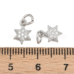 Brass Micro Pave Cubic Zirconia Pendants&nbsp;ZIRC-K070-41P