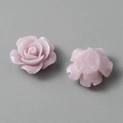 Opaque Resin Cabochons&nbsp;CRES-WH0013-19B
