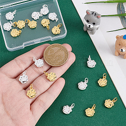 20Pcs 2 Colors Brass Charms&nbsp;FIND-PH0027-40