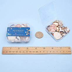 Electroplate 
Natural Shell Pendants&nbsp;SSHEL-SC0001-03