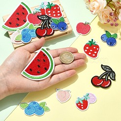 16Pcs 8 Styles Fruits Theme Computerized Embroidery Cloth Iron on Sew on Patches&nbsp;DIY-YW0018-24