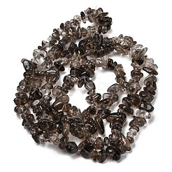 Natural Smoky Quartz Chips Beads Strands&nbsp;F037