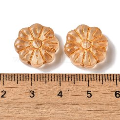 Transparent Lampwork Beads&nbsp;LAMP-P065-03A-06