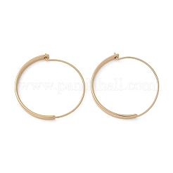 304 Stainless Steel Ring Hoop Earrings for Women&nbsp;EJEW-Q781-04G