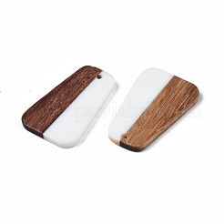 Resin & Wood Pendants&nbsp;RESI-N025-021
