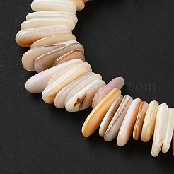 Natural Shell Beads Strands&nbsp;SHEL-D002-01A