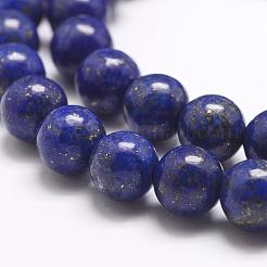 Natural Dyed Lapis Lazuli Bead Strands&nbsp;G-G953-04-10mm