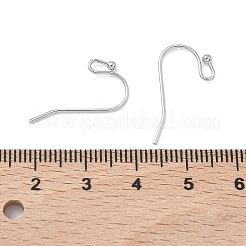 SHEGRACE Brass Earring Hooks&nbsp;XGR0138P-154P