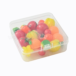 24Pcs 6 Styles Opaque Resin Pendants&nbsp;RESI-FS0001-48