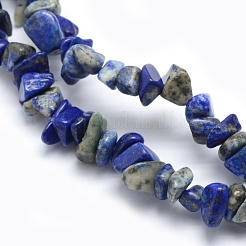 Natural Lapis Lazuli Beads Strands&nbsp;X-G-P332-12