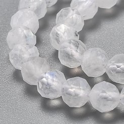 Natural Rainbow Moonstone Beads Strands&nbsp;G-H266-13