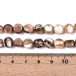 Natural Freshwater Shell Beads Strands&nbsp;SSHEL-N040-16