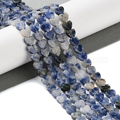 Natural Blue Spot Jasper Beads Strands&nbsp;G-M403-A21-02