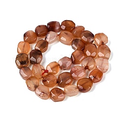 Dyed & Heated Natural Agate Beads Strands&nbsp;G-N359-15A-09