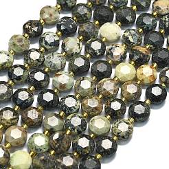 Natural African Turquoise(Jasper) Beads Strands&nbsp;G-C116-A133-01