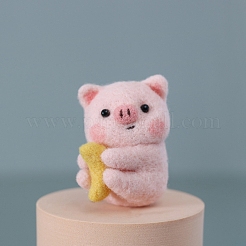 Handmade Felting DIY Material Package&nbsp;PW-WGAD15B-01