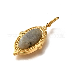 Natural Labradorite Pendants&nbsp;STAS-A104-08G-02