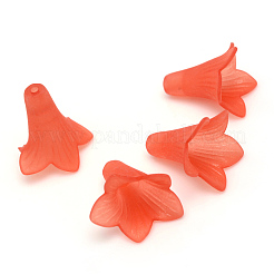 Transparent Acrylic Beads&nbsp;X-FACR-Q009-15