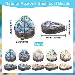 Natural Abalone Shell/Paua Shell Beads&nbsp;SHEL-BBC0001-01