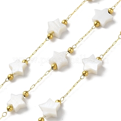Ion Plating(IP) Real 18K Gold Plated 316 Stainless Steel Paperclip Chains&nbsp;AJEW-Z026-02B