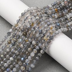 Natural Labradorite Beads Strands&nbsp;G-RM250104-E3