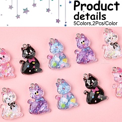 10Pcs 5 Styles Transparent Resin Pendants&nbsp;RESI-FS0001-92