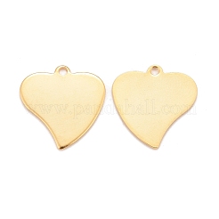201 Stainless Steel Pendants&nbsp;STAS-K217-70G