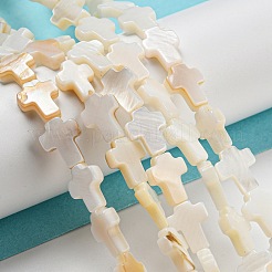Natural Freshwater Shell Beads Strands&nbsp;BSHE-G034-26