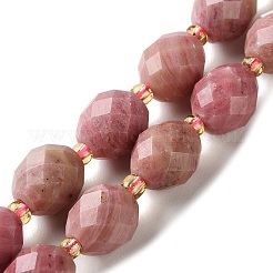 Natural Rhodonite Beads Strands&nbsp;G-N342-149I-27