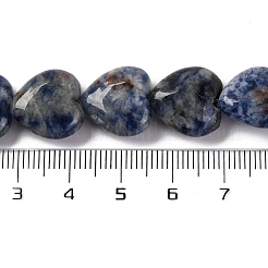 Natural Blue Spot Jasper Beads Strands&nbsp;G-I372-A13-02
