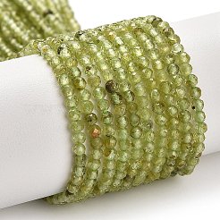 Natural Peridot Beads Strands&nbsp;G-B107-A06-01