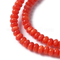 Natural Freshwater Shell Beads Strands&nbsp;SSHEL-C013-08A