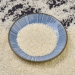 MIYUKI Delica Beads&nbsp;SEED-J020-DB0883