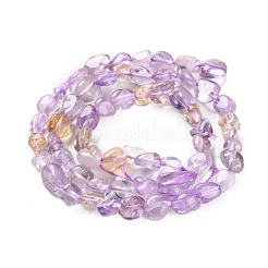 Natural Ametrine Beads Strands&nbsp;G-P497-01C-48