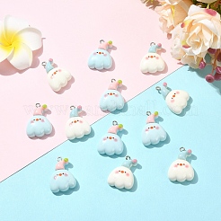 10Pcs 2 Colors Resin Pendants&nbsp;RESI-YW0005-88
