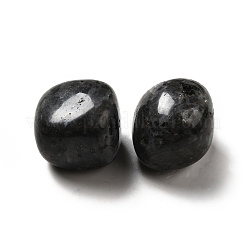 Natural Larvikite Beads&nbsp;G-G979-A14