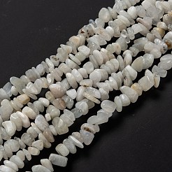 Natural Rainbow Moonstone Beads Strands&nbsp;G-A200-02