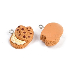 Resin Pendants&nbsp;RESI-I061-03B