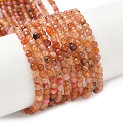 Natural Agate Beads Strands&nbsp;G-E469-12U