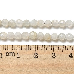Natural Moonstone Beads Strands&nbsp;G-F736-01-AB