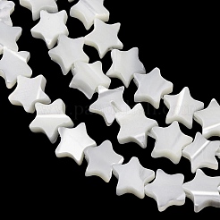 Natural Trochid Shell/Trochus Shell Beads Strands&nbsp;SH-CBA2978-17A
