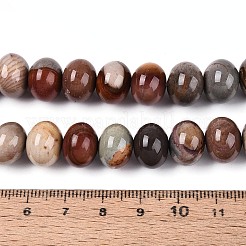 Natural Ocean Jasper Beads Strands&nbsp;G-T144-53A-01
