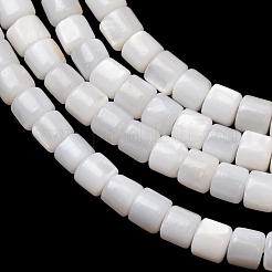 Natural Freshwater Shell Beads Strands&nbsp;SH-CBA2978-21C