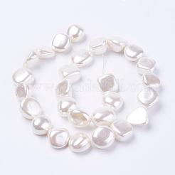 Shell Pearl Beads Strands&nbsp;BSHE-L035-F01