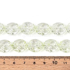 Baking Paint Transparent Glass Beads Strands&nbsp;DGLA-N017-04I