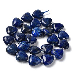 Natural Lapis Lazuli Beads Strands&nbsp;G-E614-A05-01