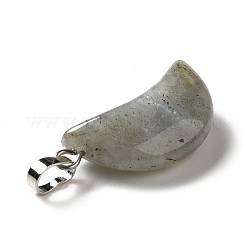 Natural Labradorite Pendants&nbsp;G-Z022-05C