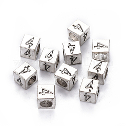 Alloy European Beads&nbsp;LS-PALLOY-WH0065-52D