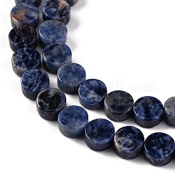 Natural Sodalite Beads Strands&nbsp;G-C159-B10-01
